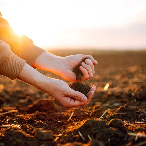 Manos sosteniendo abonos para la agricultura Abonos para la agricultura