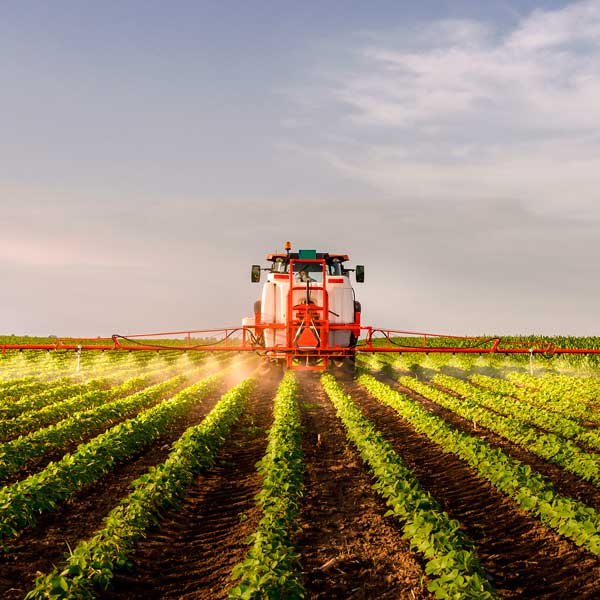 Aplicación de fitosanitarios en cultivo