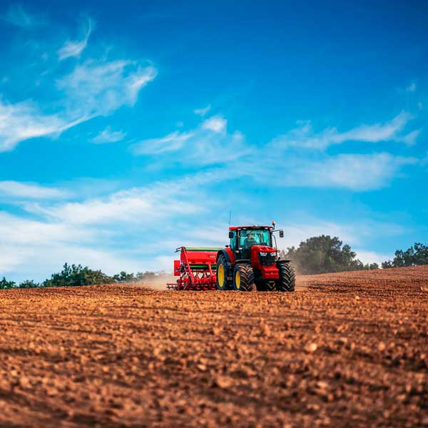 Abonos agrícolas para mejorar tus cultivos