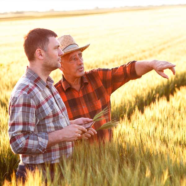 Asesoramiento agrícola