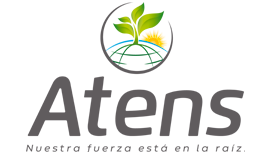 Atens