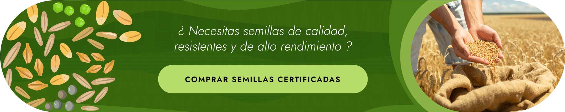 Comprar semillas certificadas de calidad