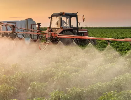 Control efectivo de plagas de escarabajos en cultivos con Productos Fitosanitarios