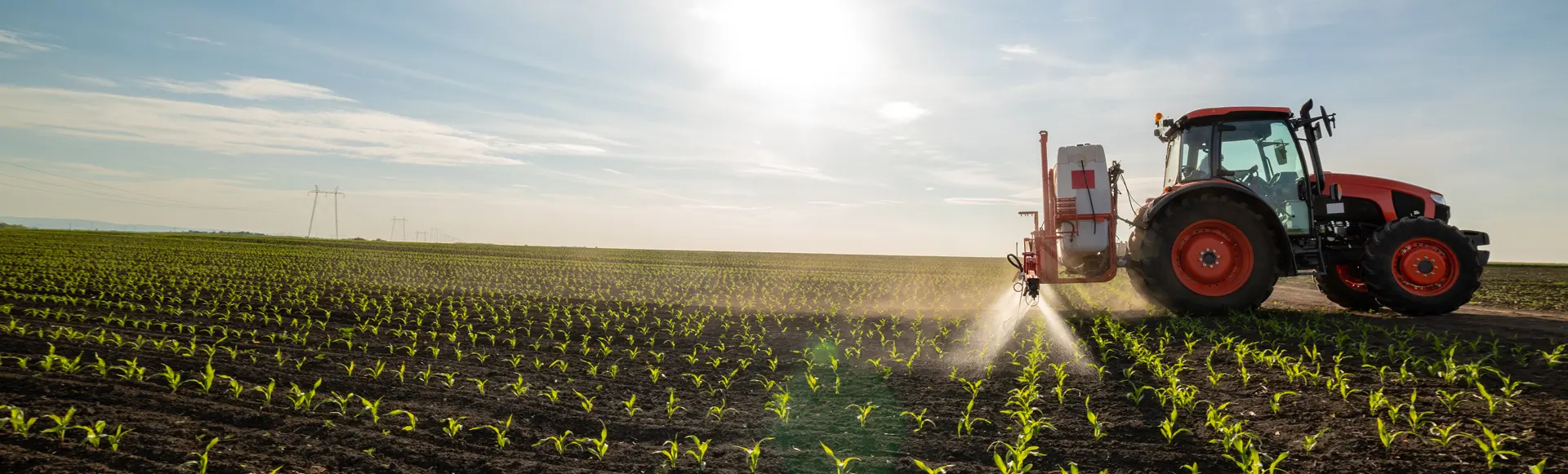 Tractor aplicando fitosanitarios contra orugas en cultivo