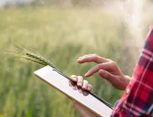 Cuaderno Digital de Explotación Agrícola (CUE), nuevo servicio de Campo Jalón