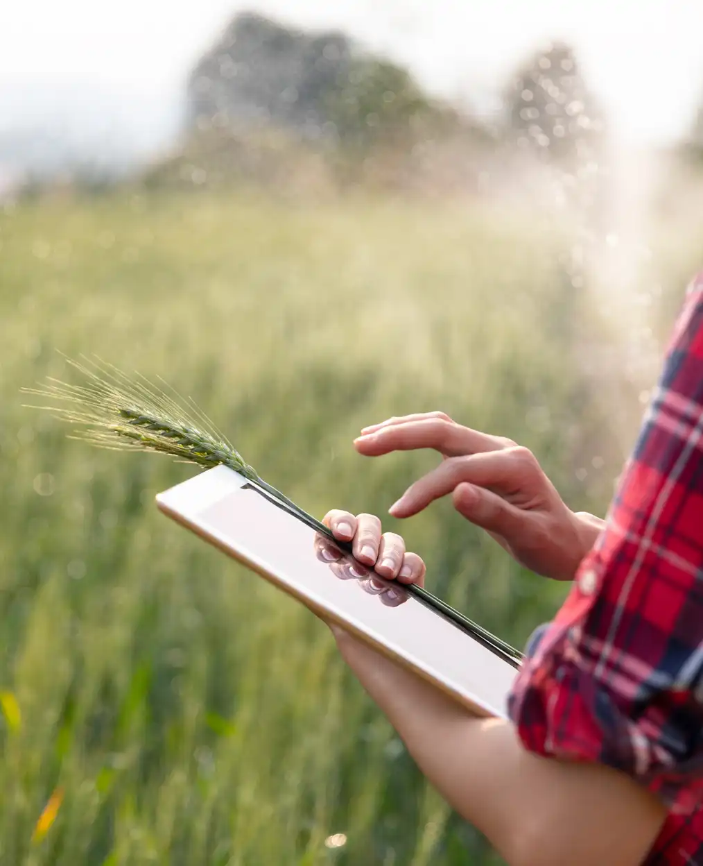 Agricultor en explotación agraria utilizando el cuaderno digital de explotación agraria