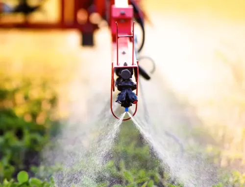 Pesticidas Peligrosos en España: Desafíos y Estrategias para 2030
