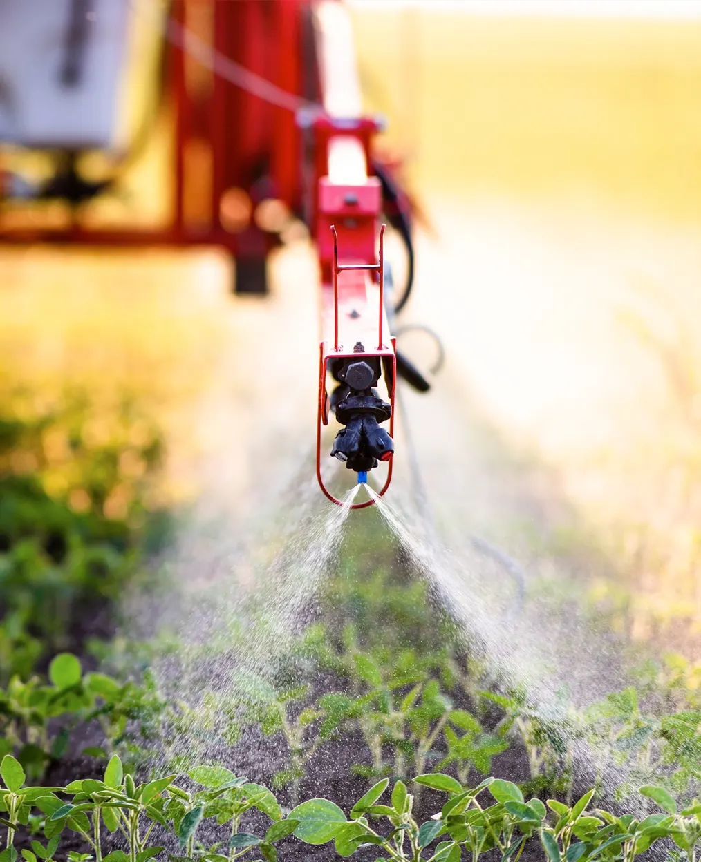 Reducción del uso de pesticidas peligrosos