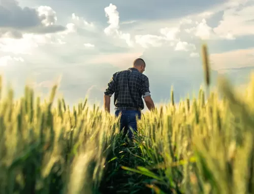 Plan de Acción Nacional para el Uso Sostenible de Productos Fitosanitarios en España