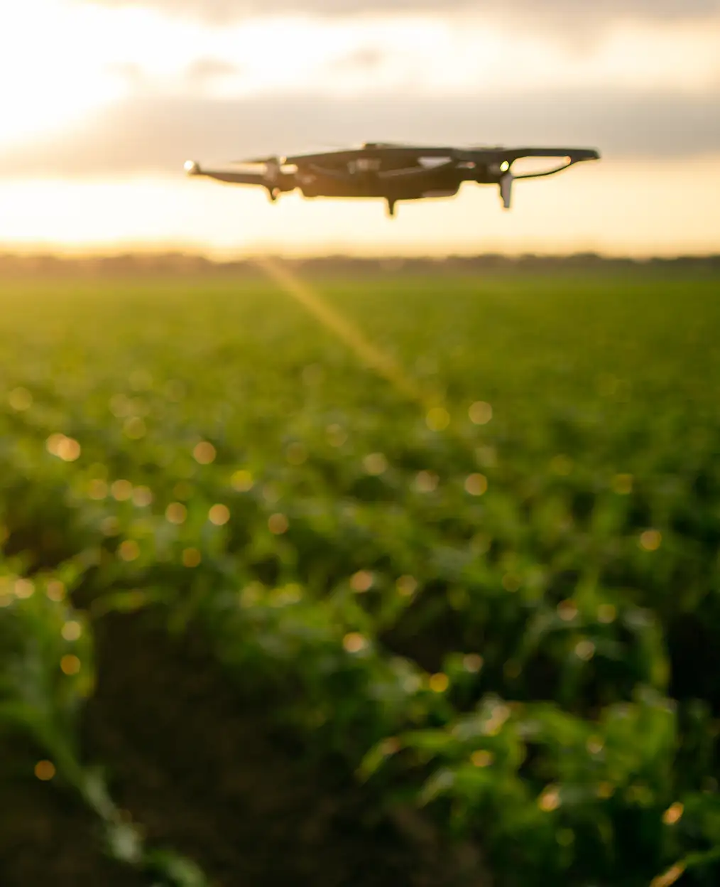 uso de drones en fitosanitarios